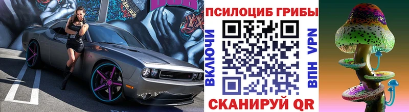 Псилоцибиновые грибы GOLDEN TEACHER Полярный